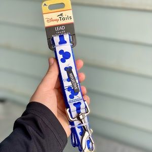 Disney Dog Lead